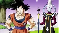 Dragon Ball TOURNA OPOWER MOVIE ENG DUB