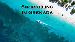 Grenada snorkeling guide – Best spots to visit