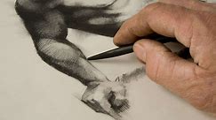 Check Out These Free Online Drawing Classes