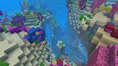 Best Minecraft Coral Reef Seeds - 1.21, Bedrock & Java (2024)