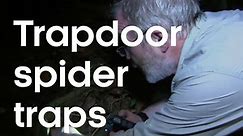 Trapdoor spider traps prey