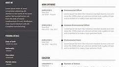 Sample Environmental Resumes