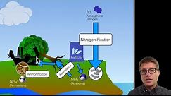 Biogeochemical Cycles