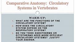 PPT - Comparative Anatomy: Circulatory Systems in Vertebrates PowerPoint Presentation - ID:2825234