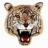 Image result for Tiger Head Line Drawing