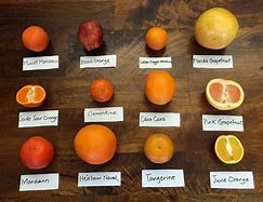 Image result for Mandarin Citrus and Furanocoumarin