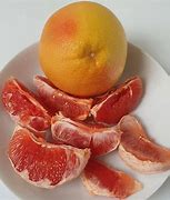 Image result for Citrus Grapefruit Australia