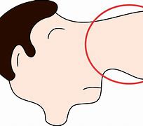 Image result for Cartoon Nose Profile