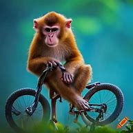 Image result for Human Riding a Monkey