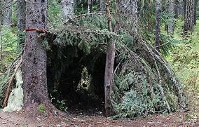 Image result for Survival Shelter Designs