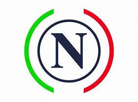 Image result for Napoli Logo Dr. Wing