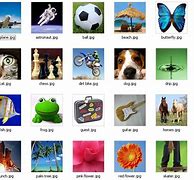 Image result for Windows XP User Account Icons