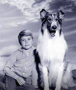 Image result for Lassie Show