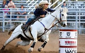 Image result for Western Horse Photography Riding