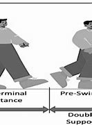 Image result for Normal Gait Cycle