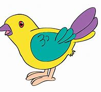 Image result for Birds for Kids