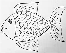 Image result for Fish Face Drawing