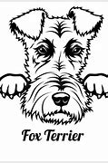 Image result for Baby Fox Terrier