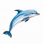 Image result for Dolphine Smile PNG