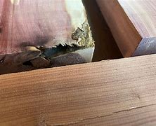 Image result for Cedar Deck Boards