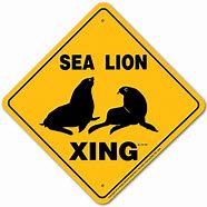 Image result for Sea Lion Sign