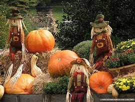 Image result for Fall Scarecrow