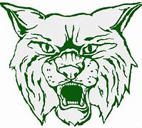 Image result for Wildcat Head Clip Art