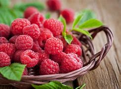 Image result for Organic Raspberry