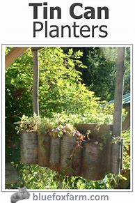 Image result for Tin Can Planters