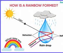 Image result for Did You Know Rainbow