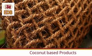 Image result for Sri Lanka Coconut Board