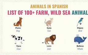 Image result for Spanish Lion