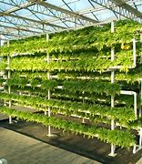 Image result for Vertical Hydroponics