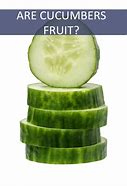 Image result for Cucumber Fruit