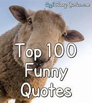 Image result for Top Funny Sayings