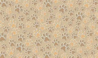 Image result for Paw Print Pattern