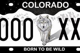 Image result for South Carolina License Plate with Wolf