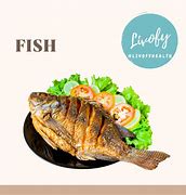 Image result for Fish Nutrients