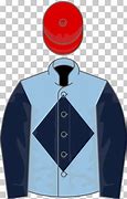 Image result for Steeplechase Horse Racing SVG