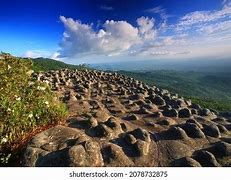 Image result for Nodule Rock