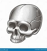 Image result for CGI Skull No Jaw