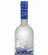 Image result for Grey Goose Bird