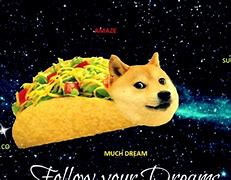 Image result for Funny Doge Meme Wallpaper