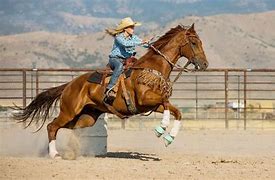 Image result for Paint Horse Barrel Racing