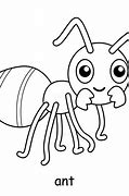 Image result for India Ant