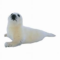 Image result for Without Seal