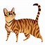 Image result for Orange Tabby Cat Drawing