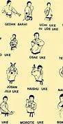 Image result for Shotokan Karate Kicks