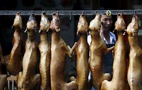 Image result for Dog Meat Market in China