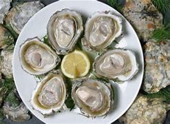 Image result for Bluff Oysters